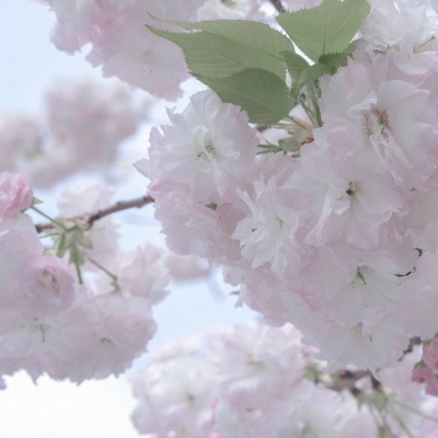 兽设配色搭配思路Furry群